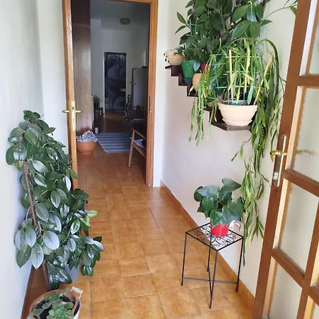 Gostinjska kuća Luce 2 &
