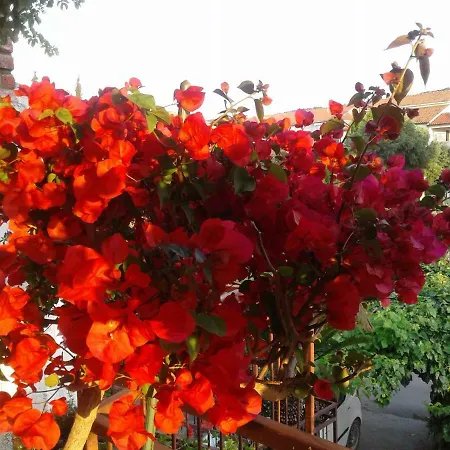 Luce 2 & בית הארחה סופטאר