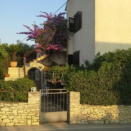 Luce 2 & סופטאר