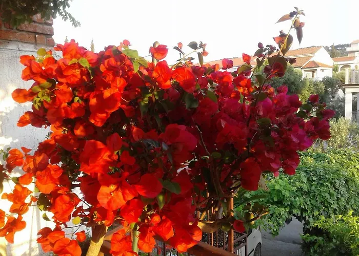 Luce 2 & Gasthof Supetar